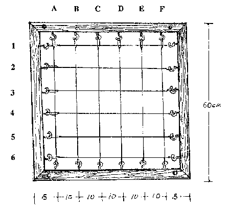 Drawing of a completed gridded quadrat